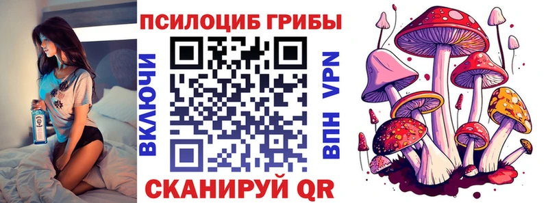 наркошоп  Куровское  Галлюциногенные грибы мухоморы 